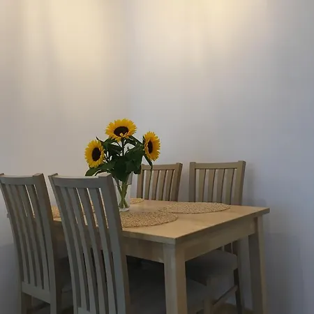 Apartment Przylesie Forest Sg *